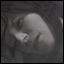 Quasar's Avatar