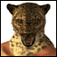 Tekken_Tag_King.gif